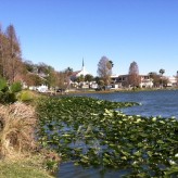 Shoreline Erosion Issues Around Lake Morton